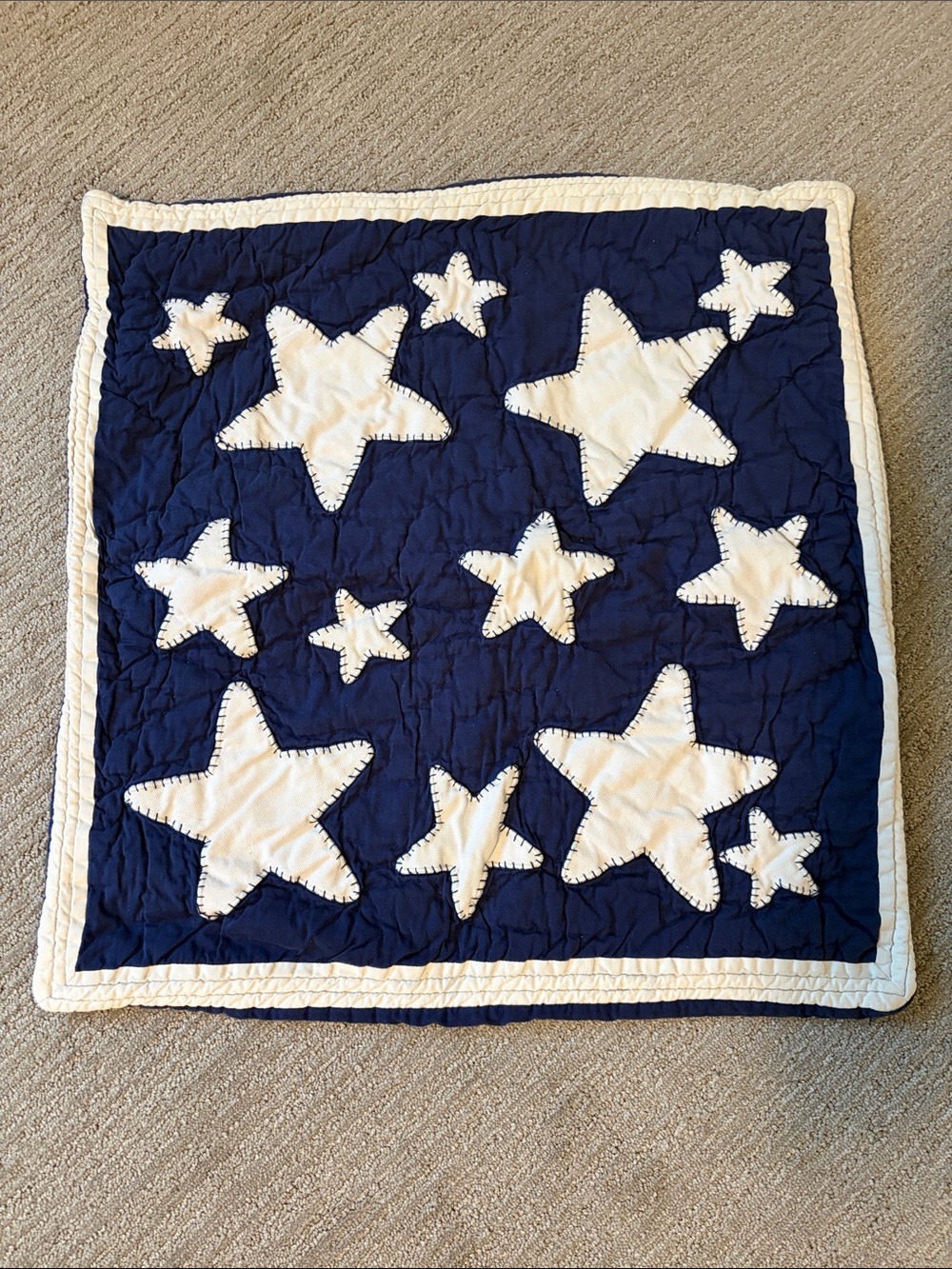 Pottery Barn Kids Euro Sham